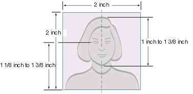 Passport photo composition diagram